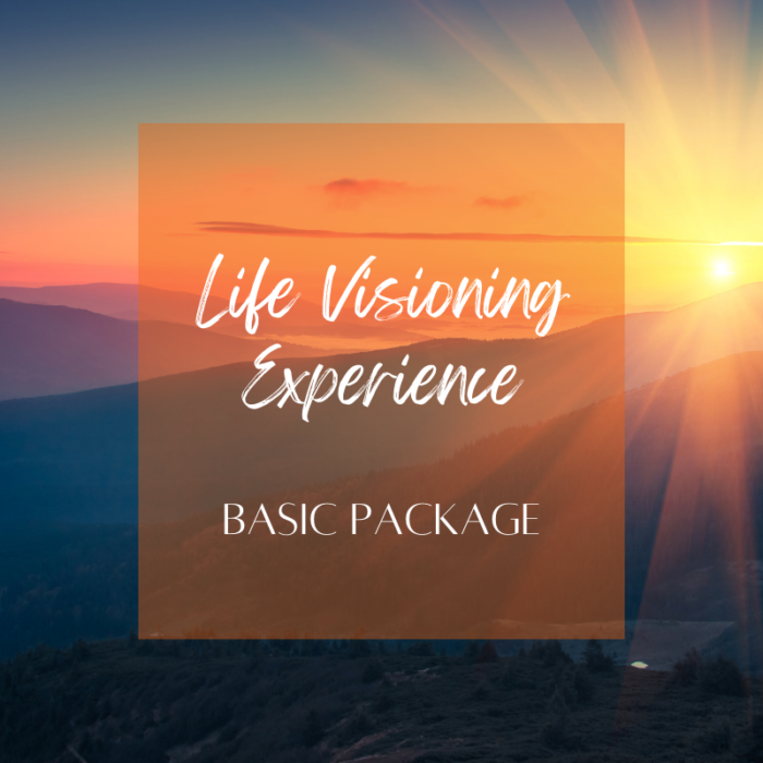 Life Visioning Experience - Basic Package